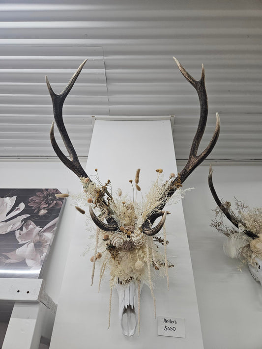 Antlers with Flowers