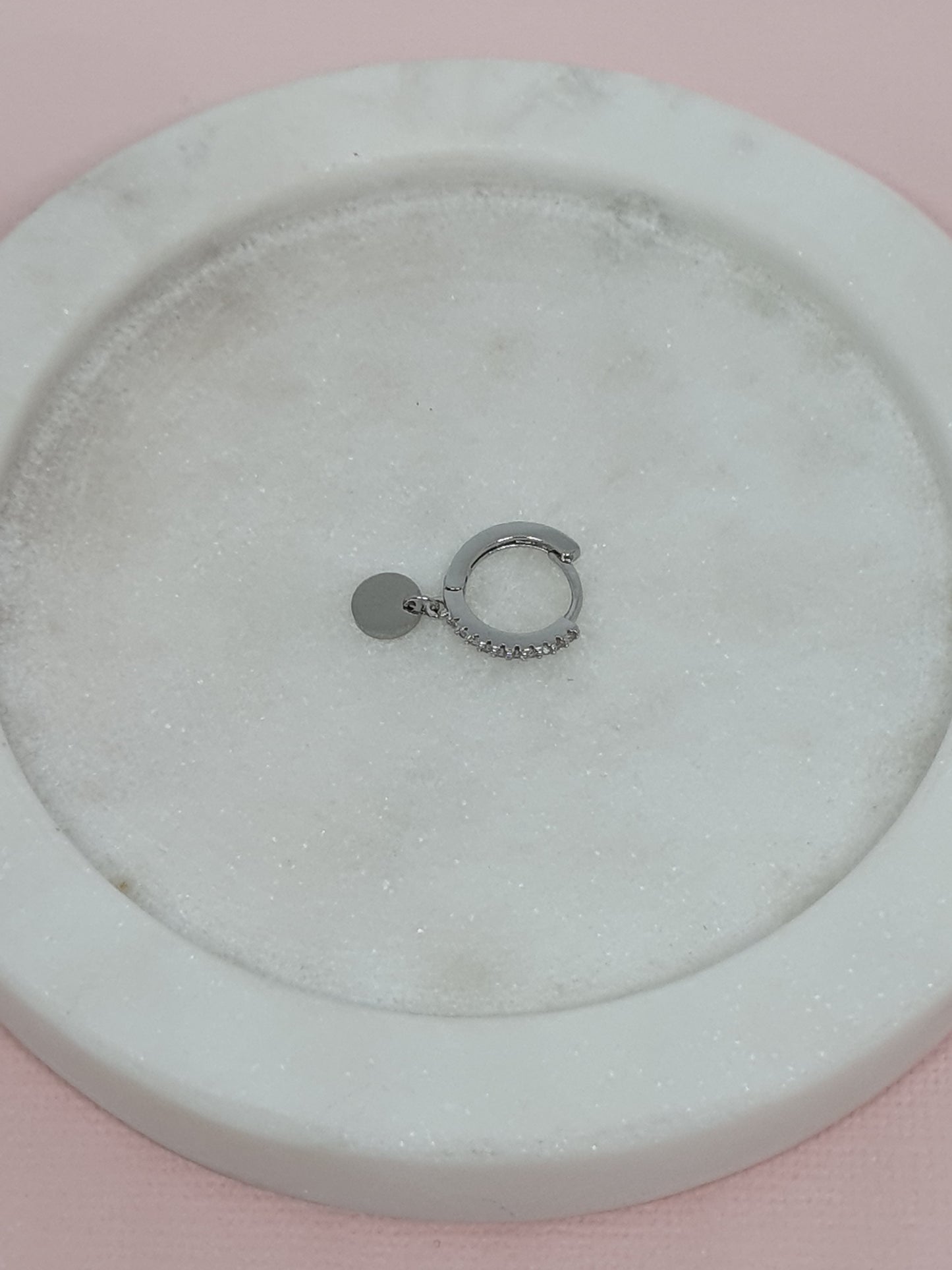 Stainless Steel Hoops