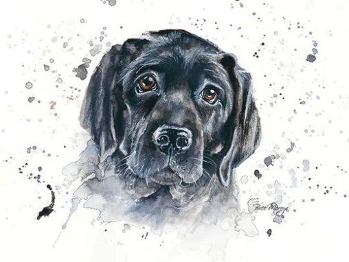 Bree Merryn Dog Cards