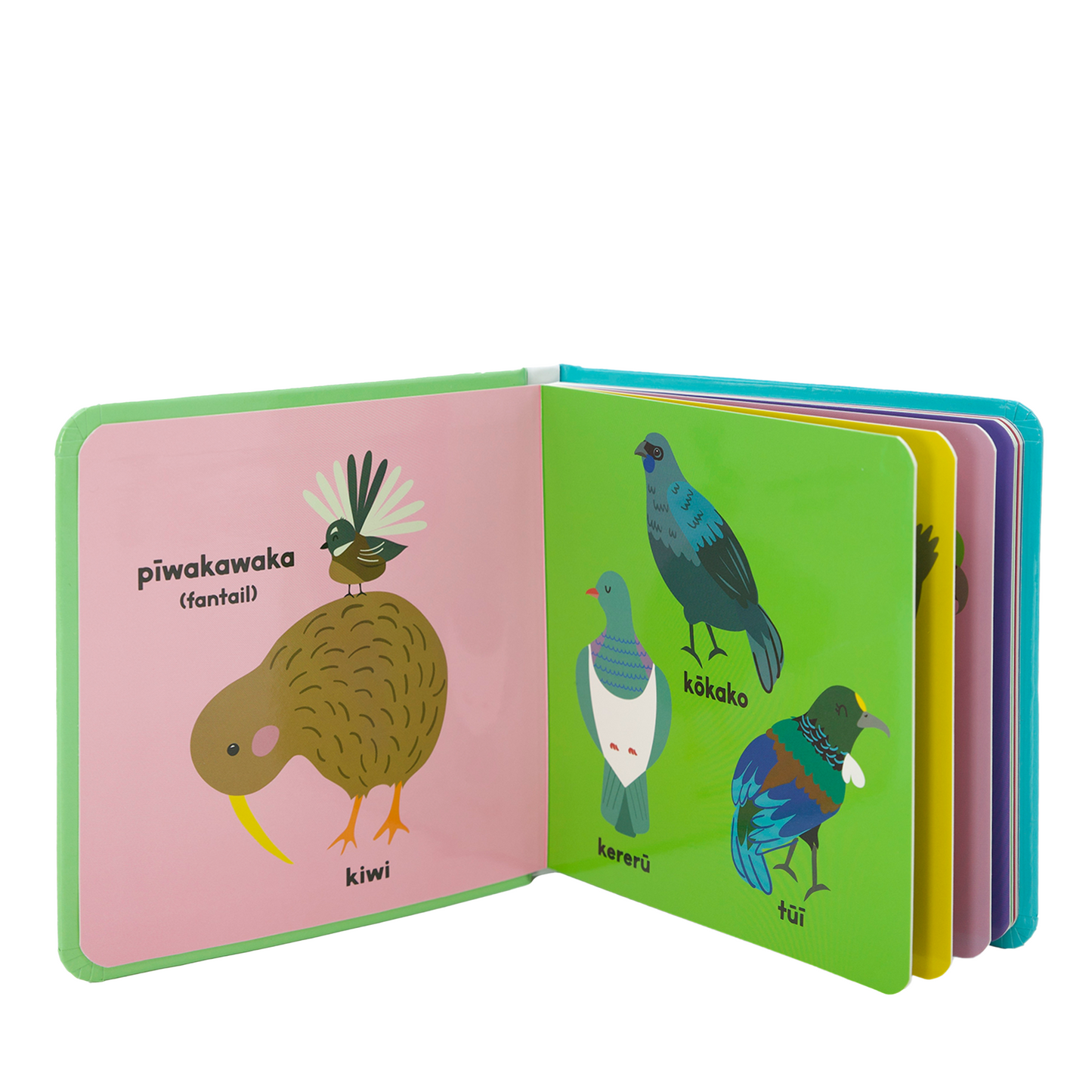Board Book