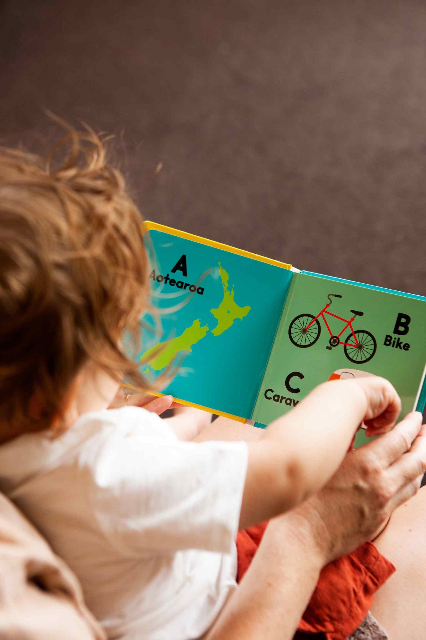 Board Book