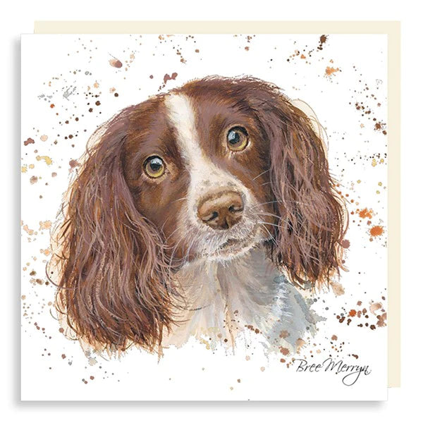 Bree Merryn Dog Cards