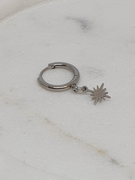 Stainless Steel Hoops