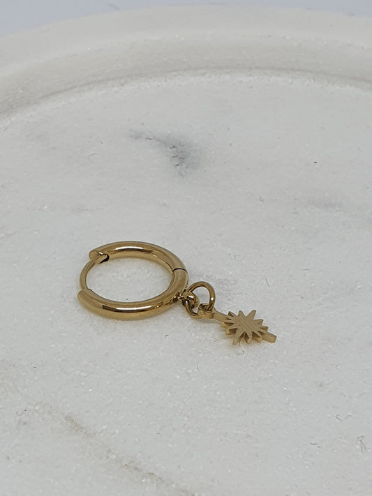 Stainless Steel Hoops