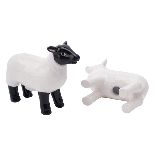 Salt & Pepper Shaker