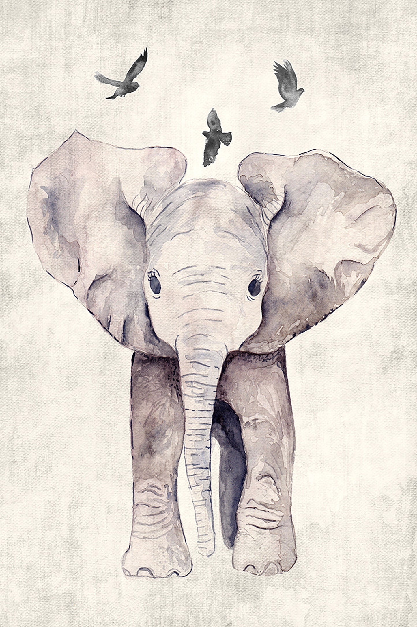 Ellie Canvas