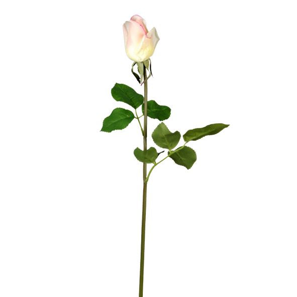 Renaissance Rose