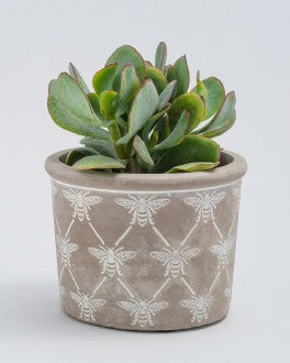Bee Planter