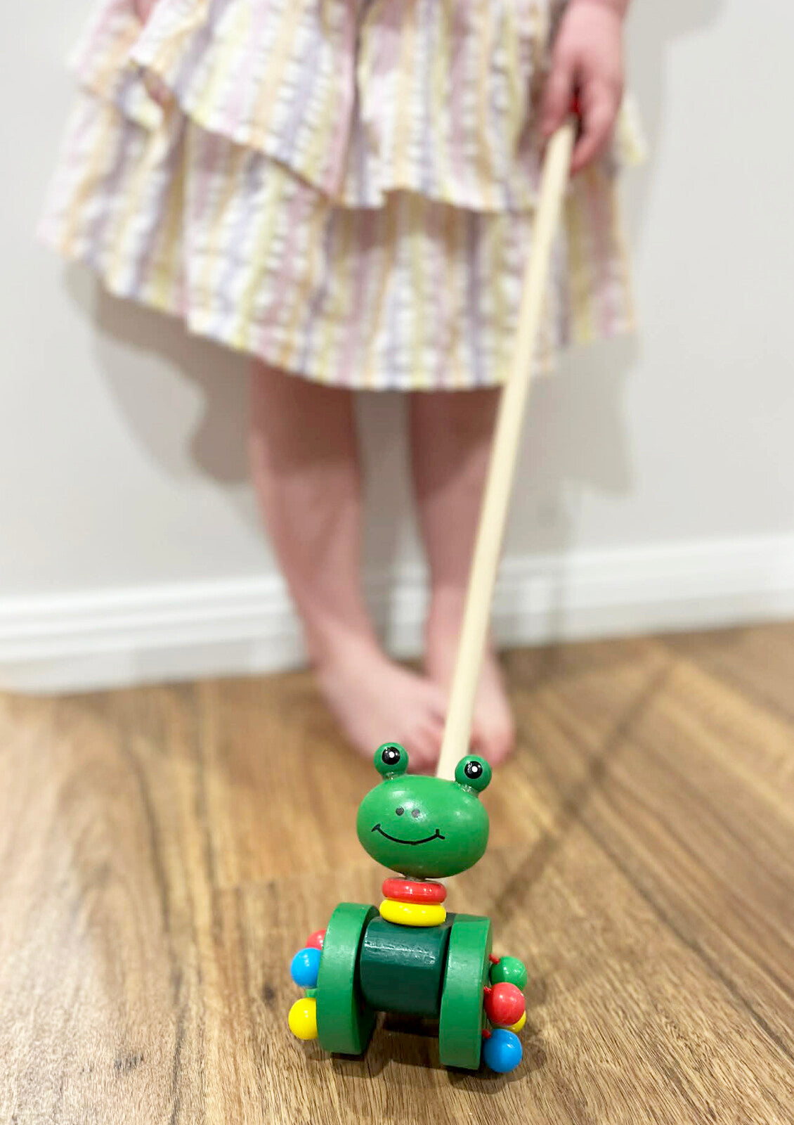 Push Along Toy