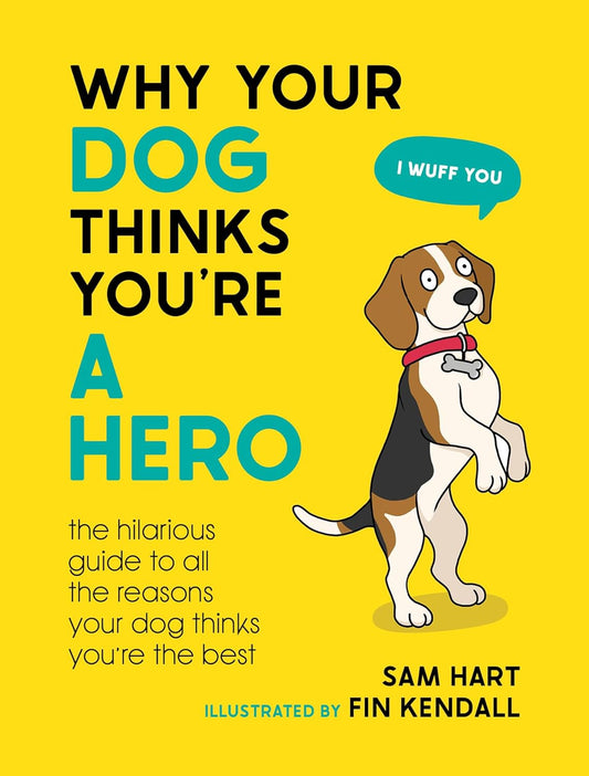Why Your Dog Thinks Your a Hero