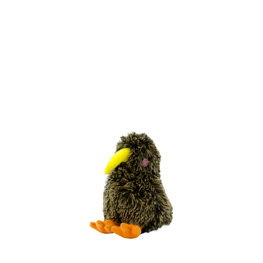 Kimi the Kiwi