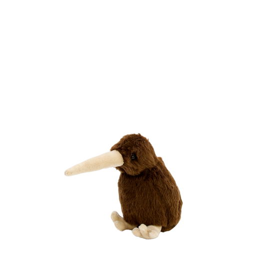 Barry the Brown Kiwi