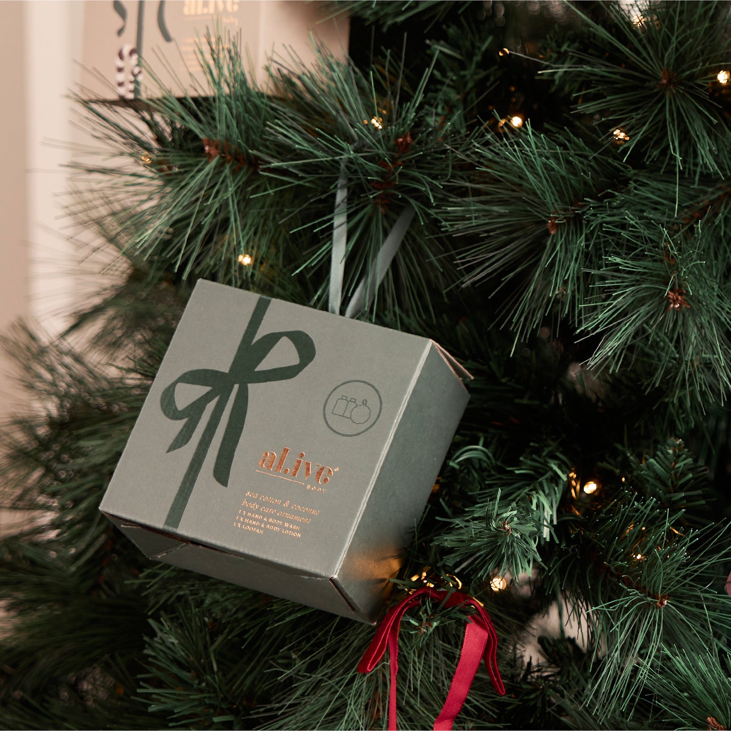 A Ribbon In Time Collection