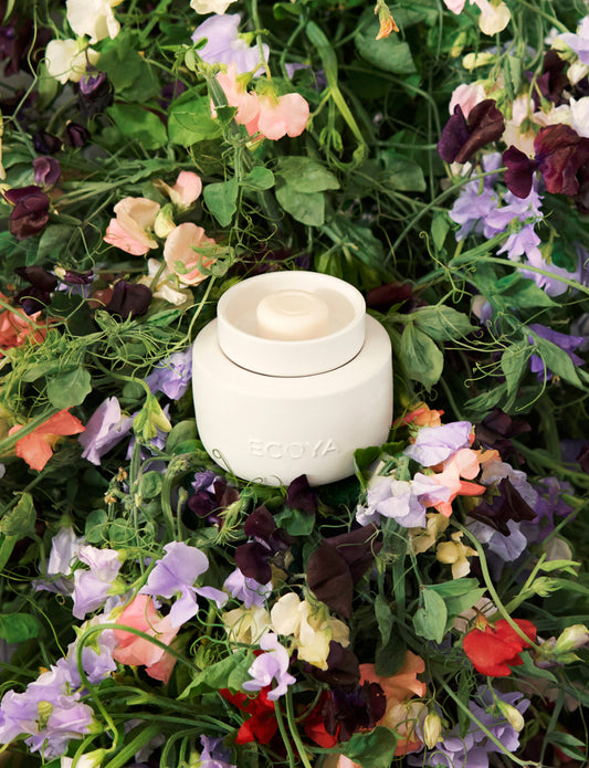 Electronic Wax Melter