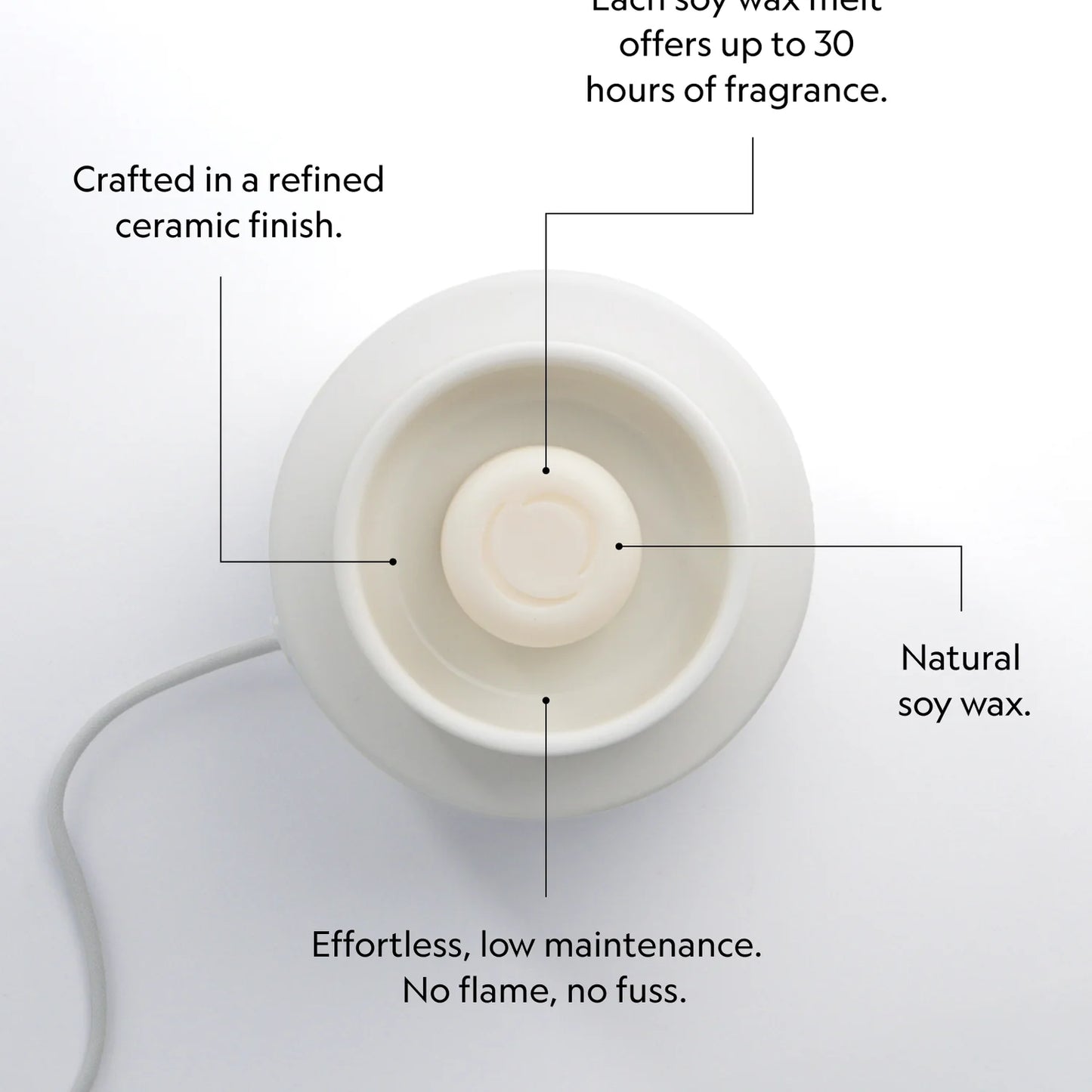 Electronic Wax Melter