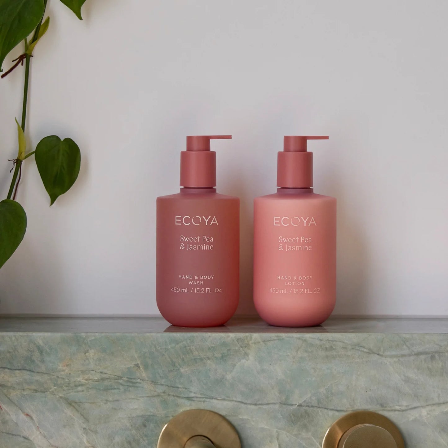 Hand & Body Lotion