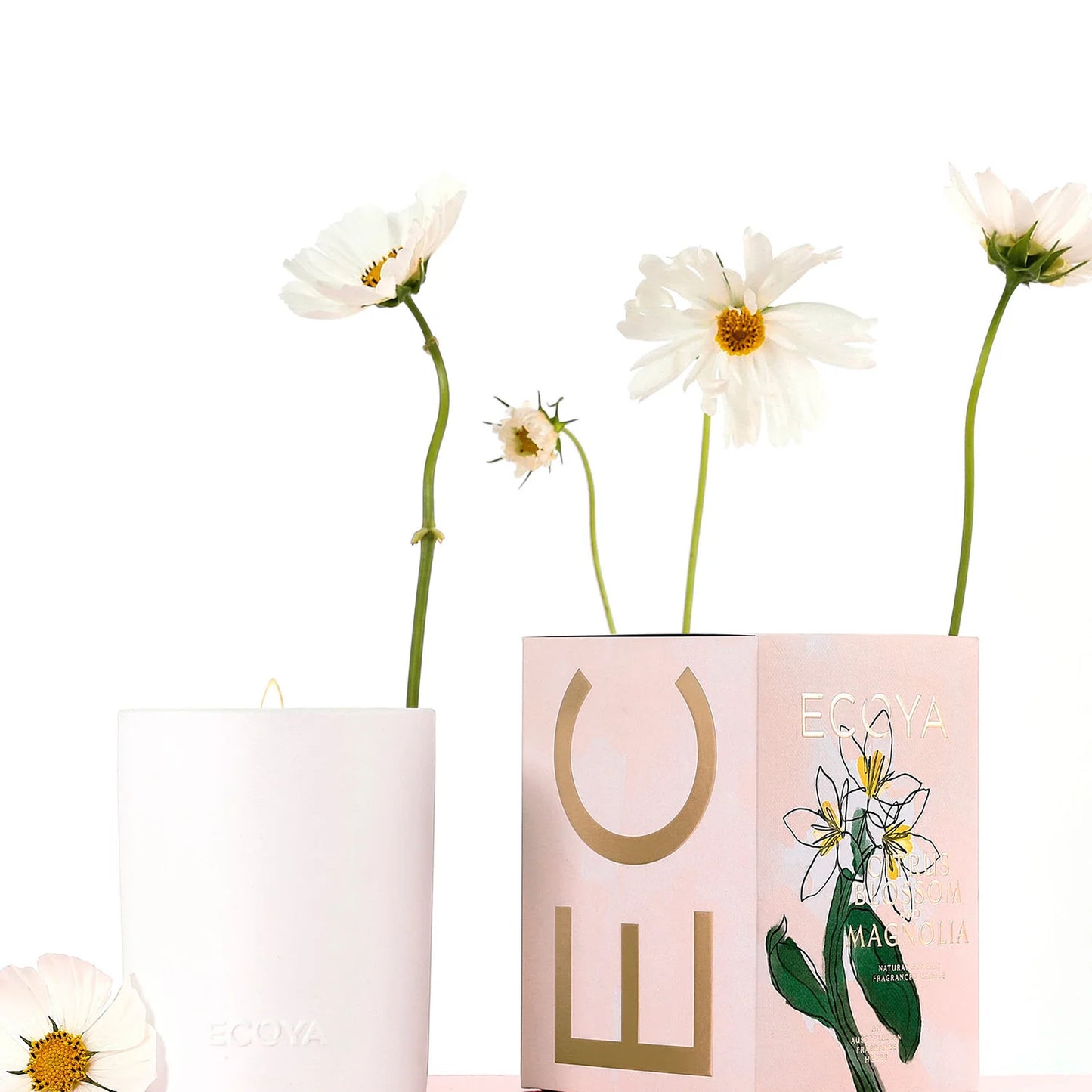 Mother's Day Collection