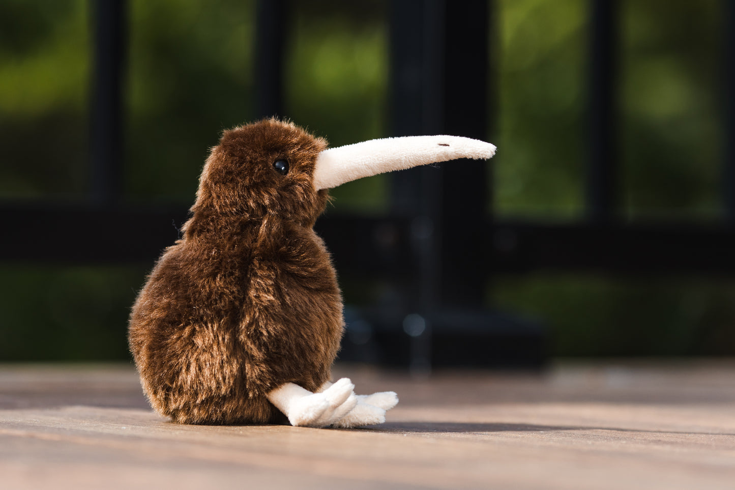 Barry the Brown Kiwi