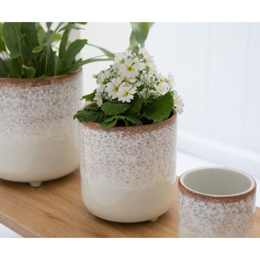 Tobi Planter