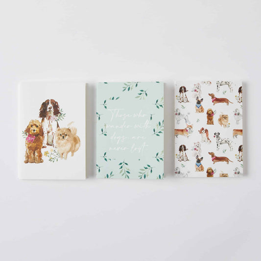 Pocket Notebook Set of 3