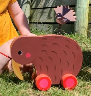 Wheelie Kiwi